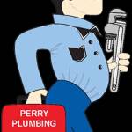 Perry Plumbing and Pipelining Profile Picture