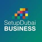 Setup Dubai Business Profile Picture