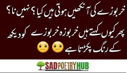 200+ Funny Poetry In Urdu - Most Funny Urdu Latifay 2024 - SadPoetryHub