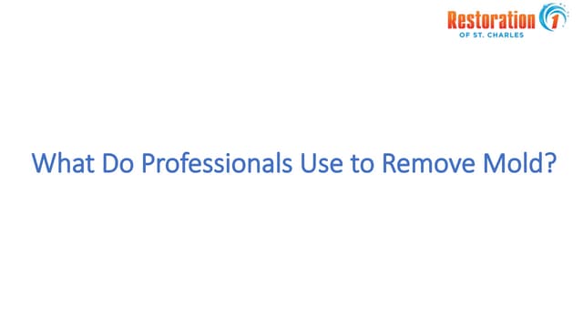 What Do Professionals Use to Remove Mold?