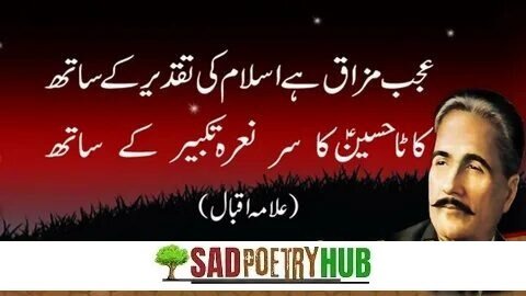 2-Line Allama Iqbal Poetry In Urdu Collection For Serious Reader - SadPoetryHub