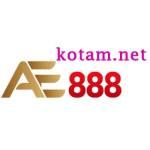 AE888 kotam Profile Picture