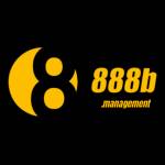 888B management Profile Picture