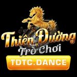 TDTC TẢI THIÊN ĐƯỜNG TRÒ CHƠI Profile Picture