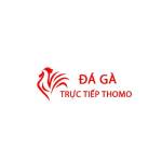 Đá Gà Trực Tiếp Thomo Hôm Nay Profile Picture