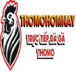 ĐÁ GÀ THOMO HÔM NAY TRỰC TIẾP TẠI CAMPUCHIA Profile Picture