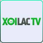 XoiLac TV Trang Bình Luận Trực tiếp Bóng Đ Profile Picture