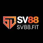 SV88 Fit Profile Picture