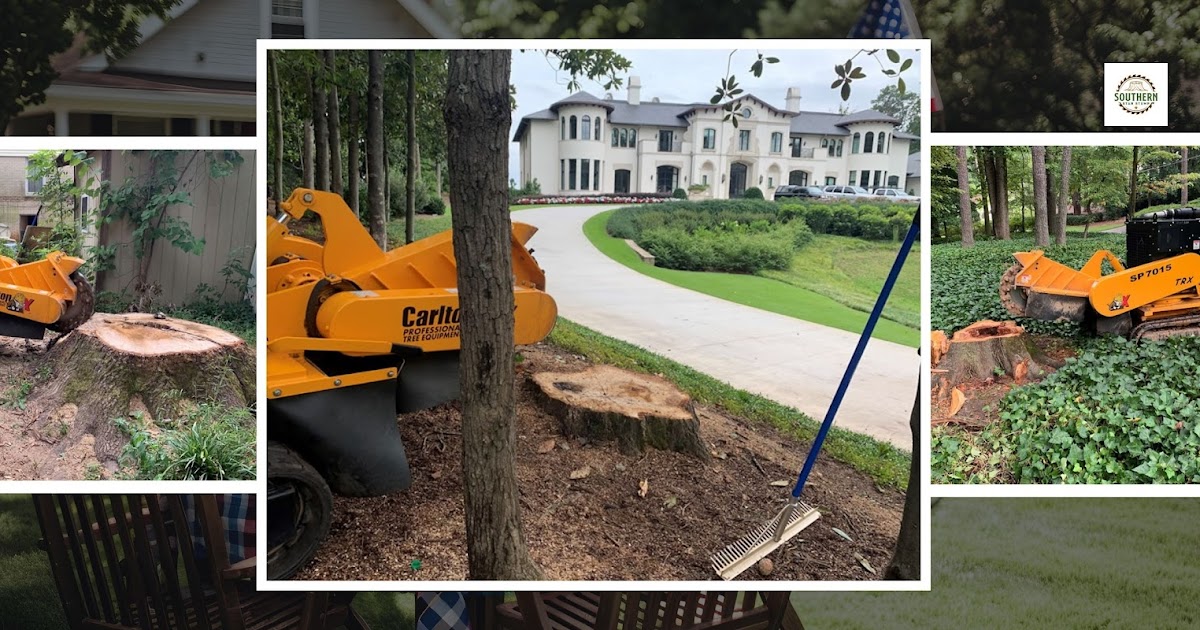 How Stump Removal Can Enhance Your Duluth Landscape