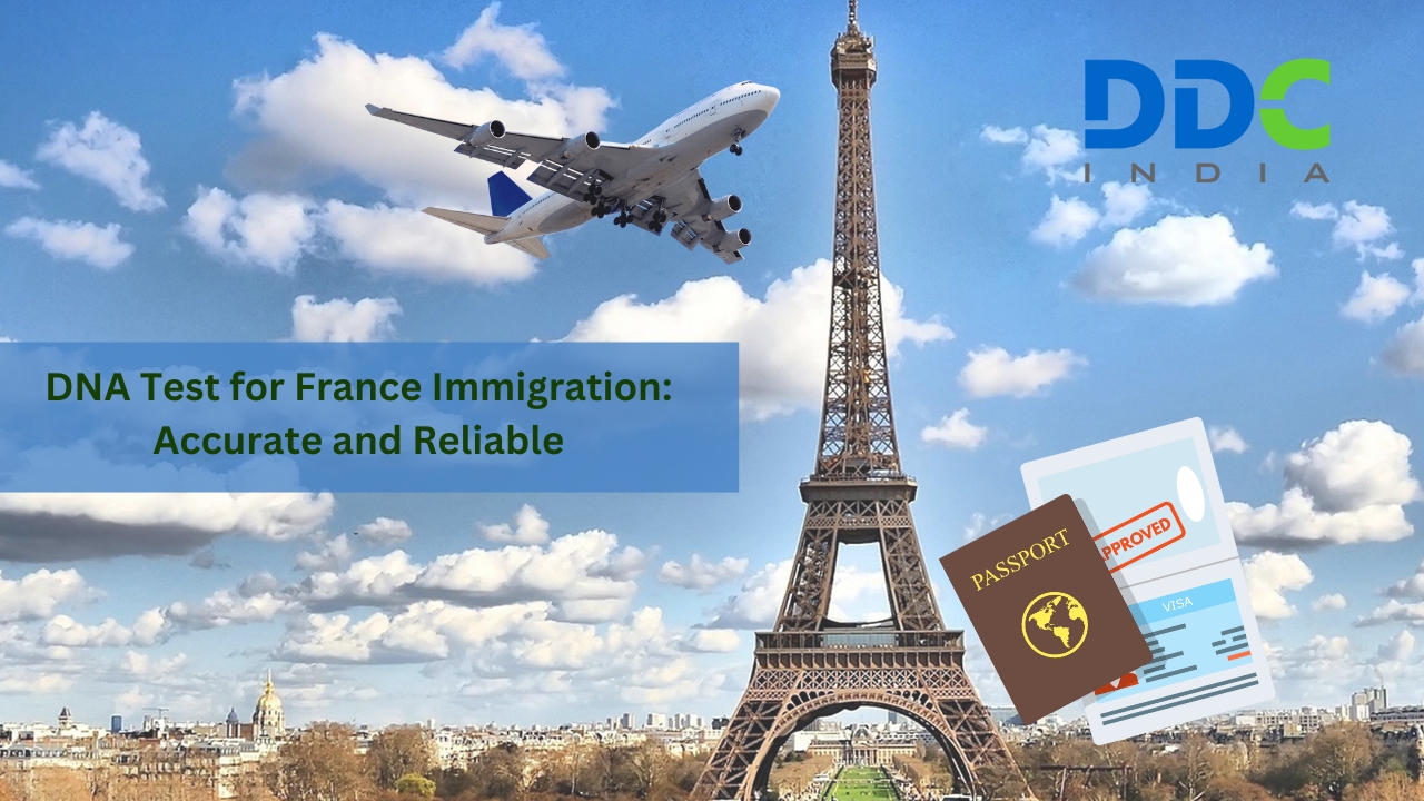 DNA Test for France Immigration: A Critical Step in Family Reunification - AtoAllinks