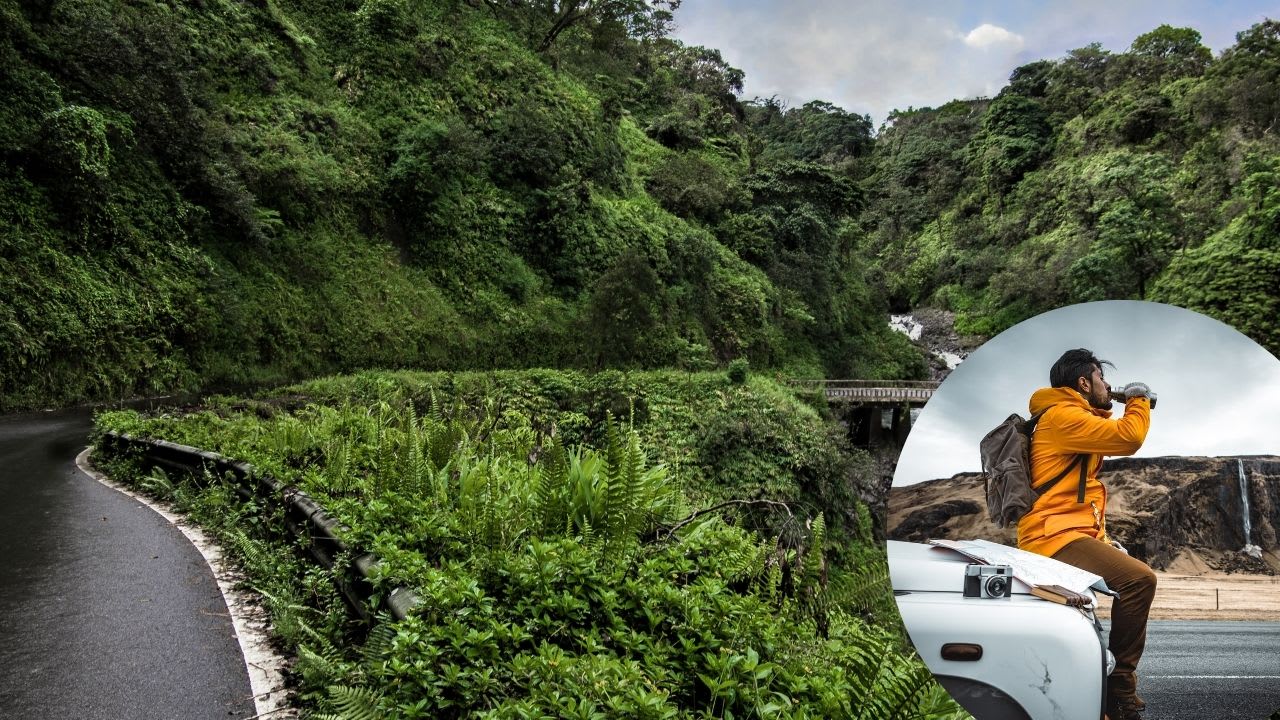 Five Reasons to Choose a Guided Road to Hana Tour | Chapters