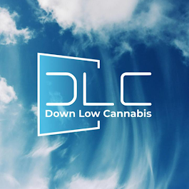 Looking for a Cannabis Store Near You? Here’s What to Check First! | by downlowcannabis | Jan, 2025 | Medium