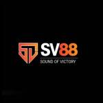 SV88 Profile Picture