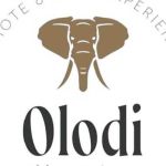 Olodi African Pathways Profile Picture