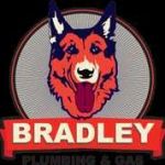 Bradley Plumbing and Gas Profile Picture