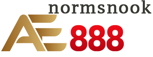 AE888 normsnook Cover Image