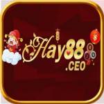 Hay88 Ceo Profile Picture