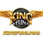 KING FUN Profile Picture