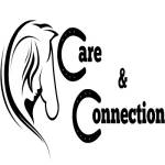 Horse Care and Connection Profile Picture