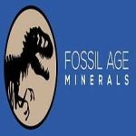 fossilagemineralsonline Profile Picture