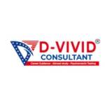 dvivid consultant Profile Picture