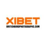 Xibet britishbirdphotographs Profile Picture