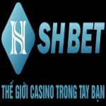 SHBET Casino Profile Picture