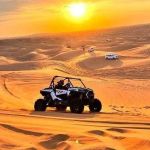 uaedesert safari Profile Picture