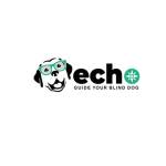 Echo- Blinddog Profile Picture