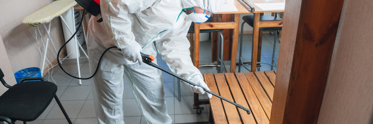 Commercial Pest Control Melbourne | Commercial Pest Control Company