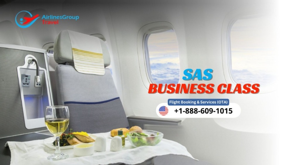 Scandanavian Airlines Business Class | Reservation & Tickets | Vipon