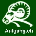 Auf Gang Profile Picture