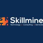 skillminetech Profile Picture