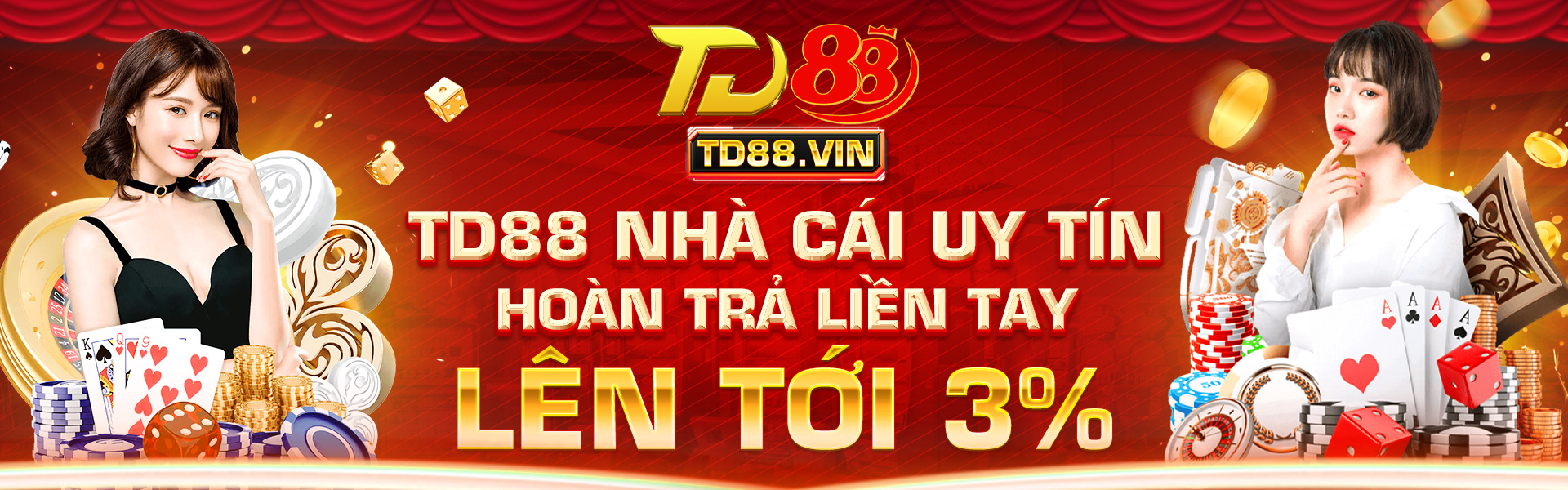 TD88 vin Cover Image