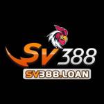 SV 388 Profile Picture