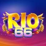 Rio66 us com Profile Picture