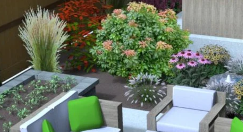 Revitalize Your Outdoor Space with Expert Gardening Services in Ashford Surrey – Golden Gardening Services