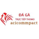 Đá Gà Trực Tiếp Thomo Hôm Nay Profile Picture