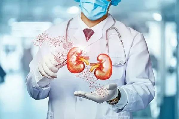 Finding the Best Doctor for Kidney Cancer Treatment - Your Daily Dose of Entertainment