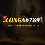 CON GÀ 6789 Profile Picture