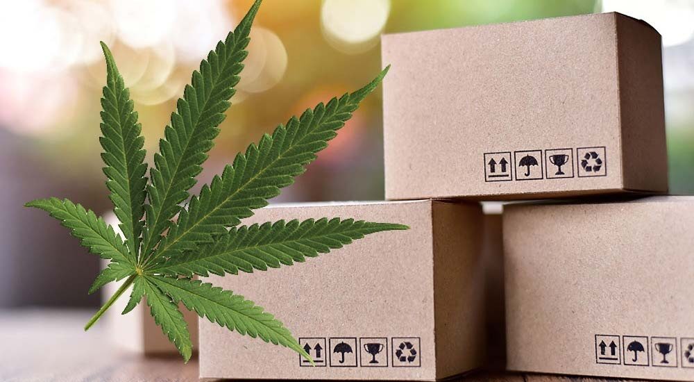 Global Hemp-based Packaging Market is Expected to Generate USD 782 Million by 2033: Future Market Insights, Inc. – FMIBlog