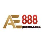 AE888 juneblaker Profile Picture