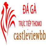 Đá Gà Trực Tiếp Thomo Hôm Nay Profile Picture