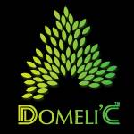 Domelic Ae Profile Picture