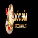 xocdia wales Profile Picture