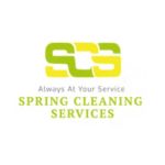 Spring Cleaning Profile Picture