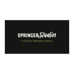 Springer Studios Profile Picture