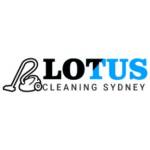 Lotus Rug Cleaning Brisbane Profile Picture