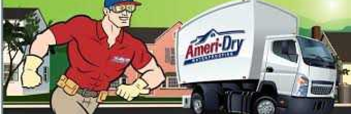 Ameri Dry Cover Image