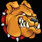 Digital Guard Dawg Inc Profile Picture